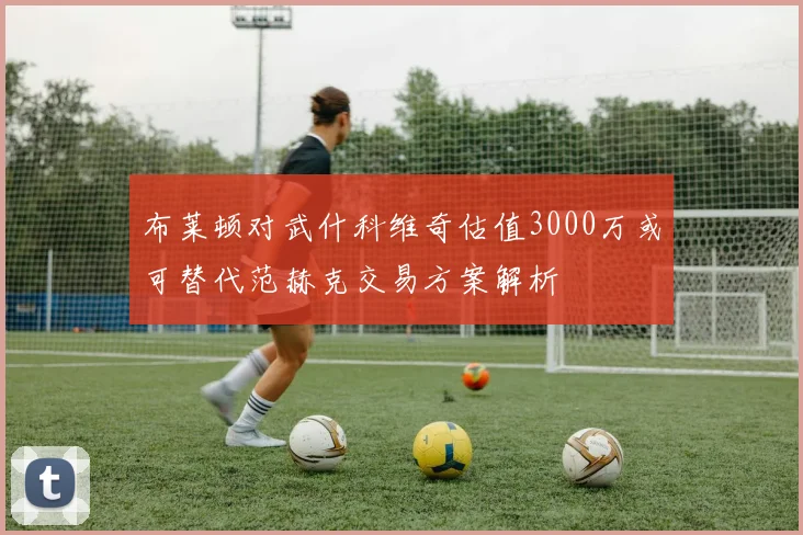 布莱顿对武什科维奇估值3000万或可替代范赫克交易方案解析