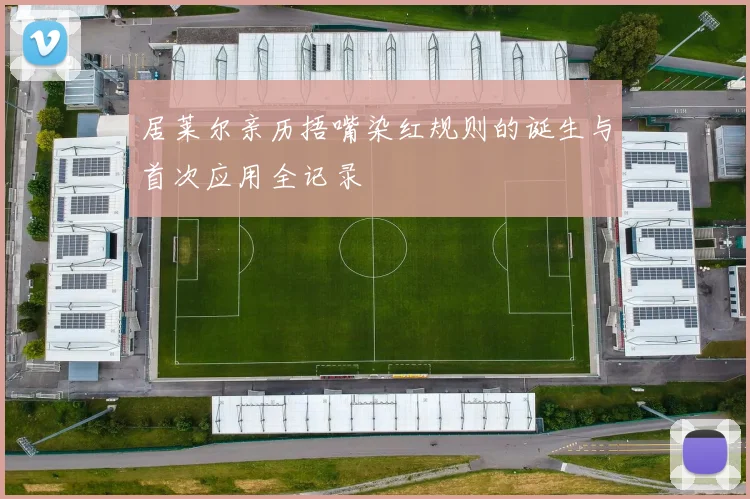 居莱尔亲历捂嘴染红规则的诞生与首次应用全记录